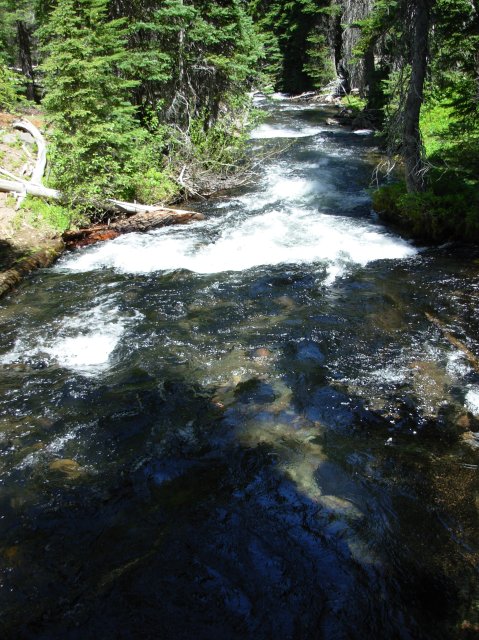 Summer '06 Sunriver 279 